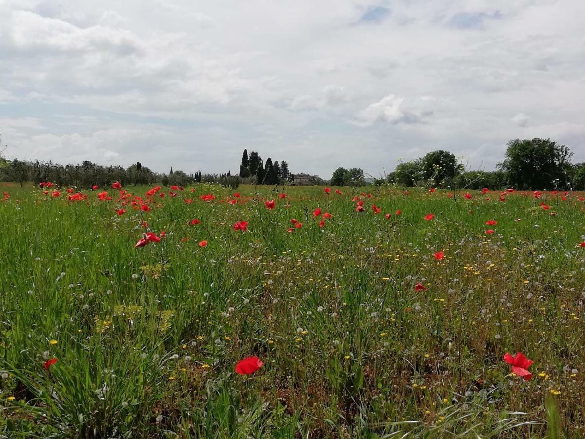 Il Fienile Nella Roccia Pension Casole dʼElsa Buitenkant foto